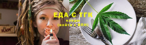 индика Волоколамск