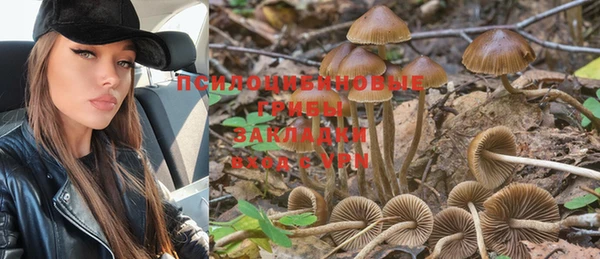 индика Волоколамск