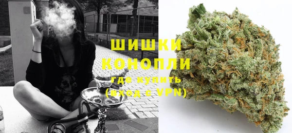 индика Волоколамск