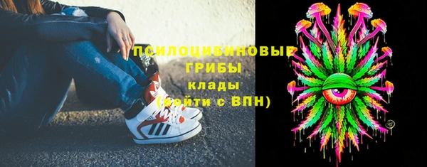 apvp Фурманов